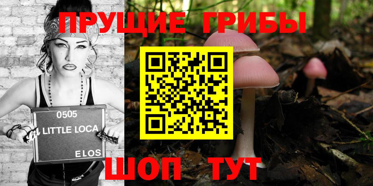 Псилоцибиновые грибы прущие грибы Саяногорск