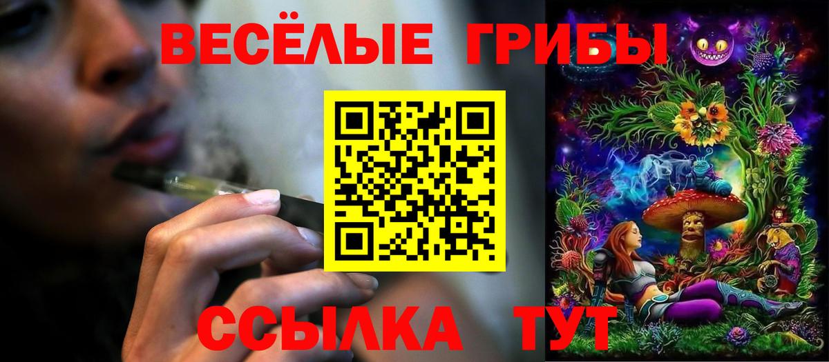 Саяногорск  Псилоцибиновые грибы MAGIC MUSHROOMS  Вход с VPN  Псилоцибиновые грибы мицелий 